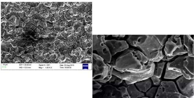 神农架神农架蔡司神农架扫描电镜